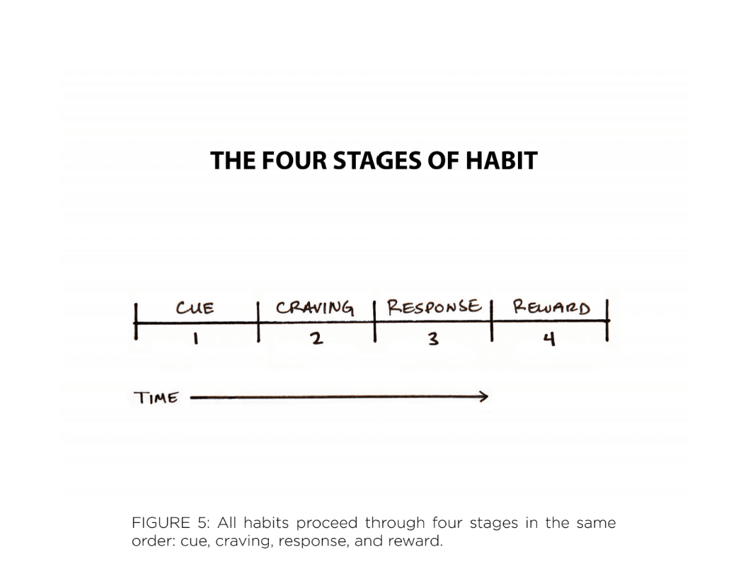 The Four Stages of Habit. - Atomic Habits