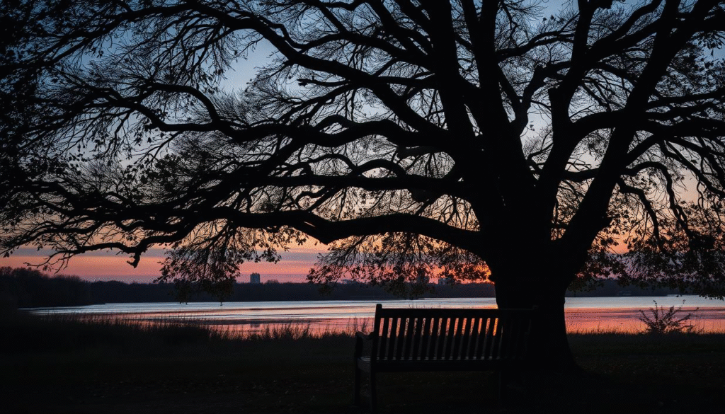 The Sense of an Ending